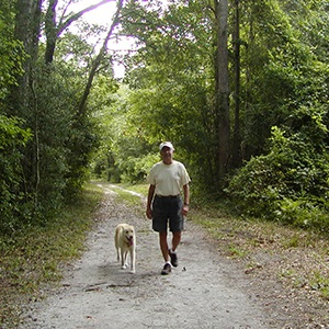 Abbey Nature Preserve Trail